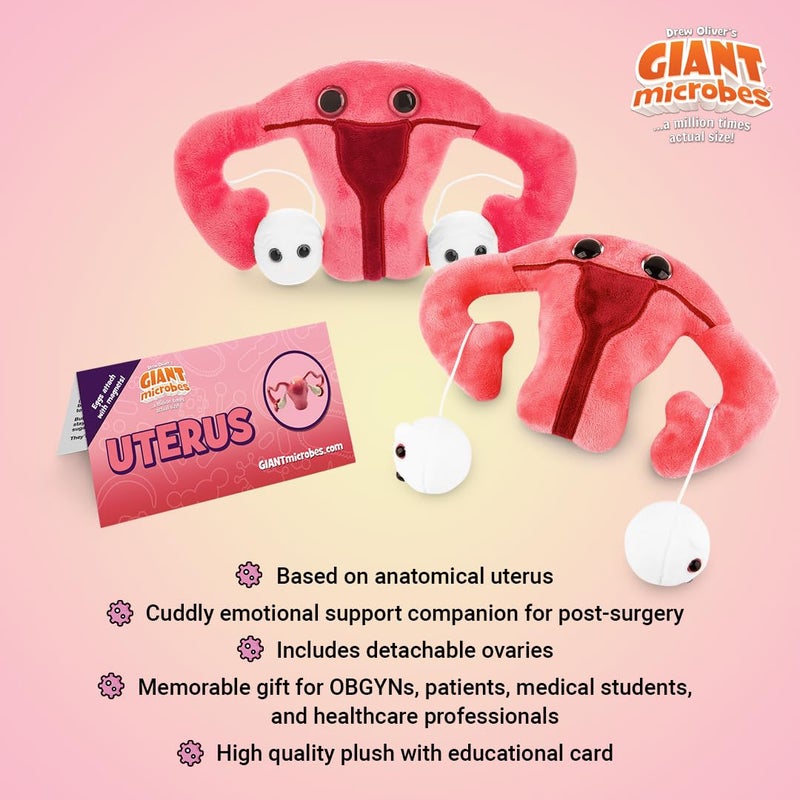 GIANT MICROBES Uterus Plush Toy, Hysterectomy Gifts, Endometriosis Awareness, Feminist Gifts, Fertility Gift, Get Well Gift - Image 3